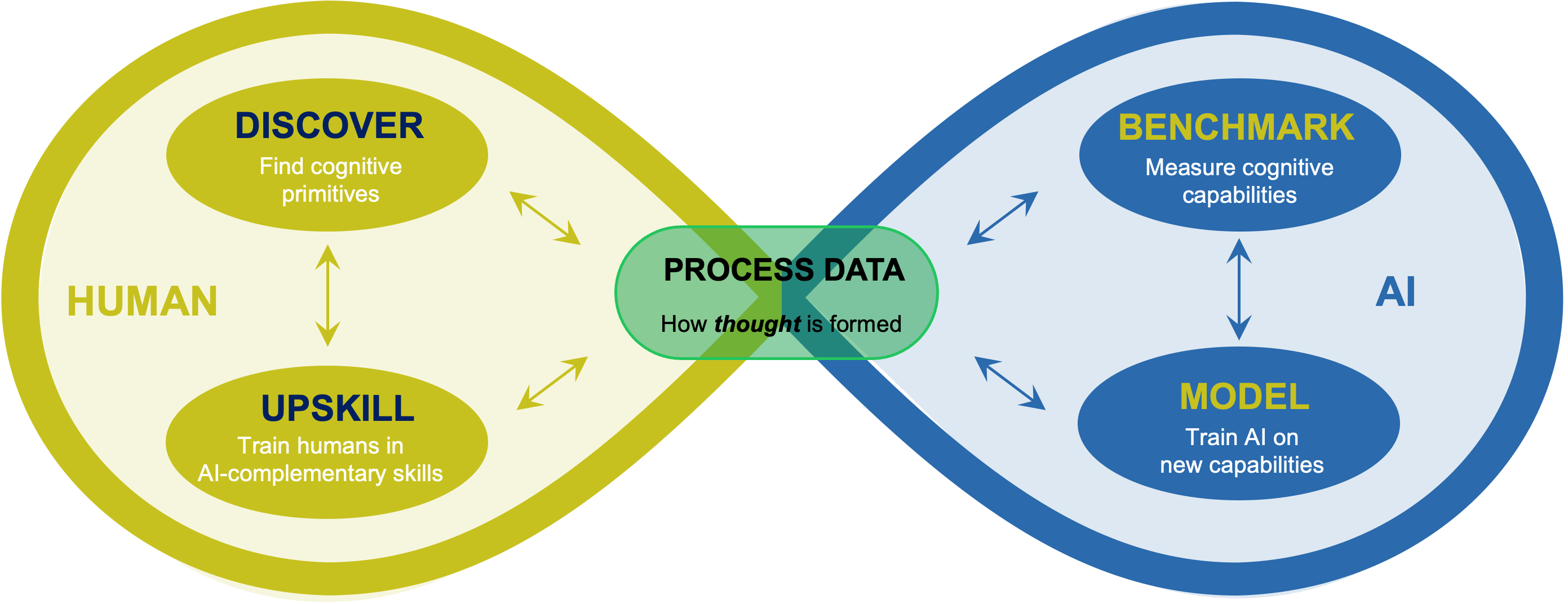 Human-AI Co-Evolution Cycle